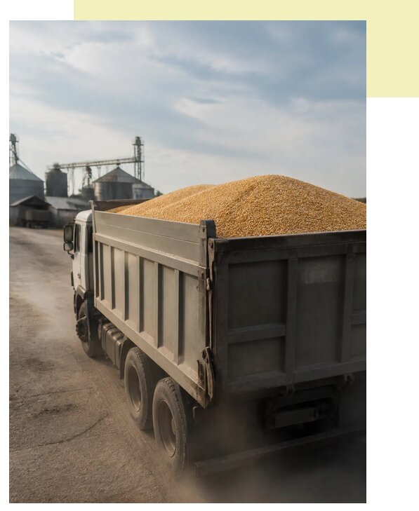 Перевозка сельхозпродукции навалом в Шарыпово по цене от 3032 р. | Агросервис-Шрп
